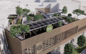 Ströck Wien Bio Dachgarten